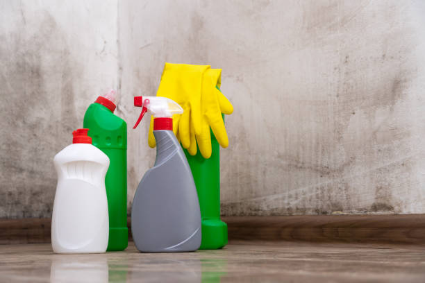 Reliable Monaca, PA Mold Removal Solutions